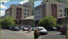 FOTO // Încă un copac a căzut pe o stradă din centrul Capitalei